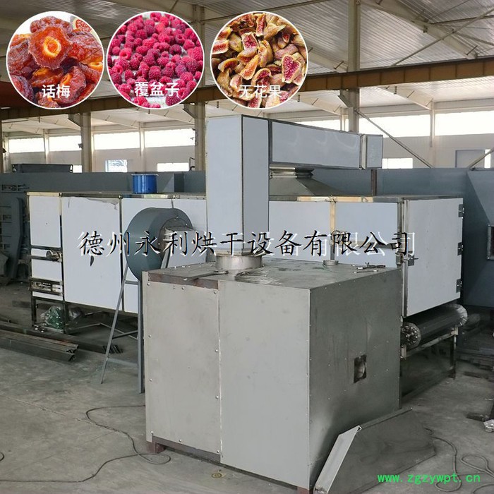 永利 覆盆子烘干机 热风 带式 天然气 无花果烘干设备 树莓烘干机根据客户要求规格及产量定做图3