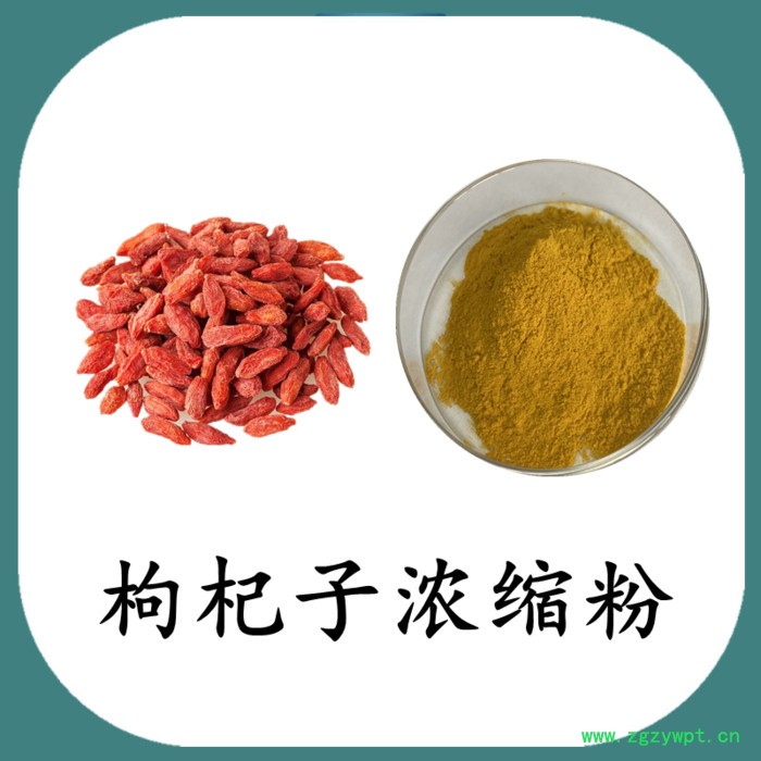 枸杞子粉 可定制 六盘韵 水溶图8