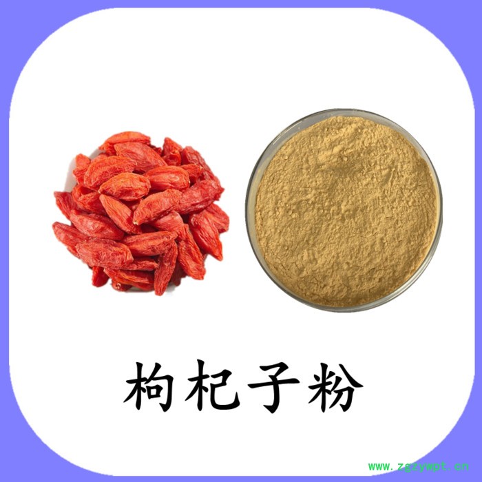 枸杞子粉 可定制 六盘韵 水溶图2
