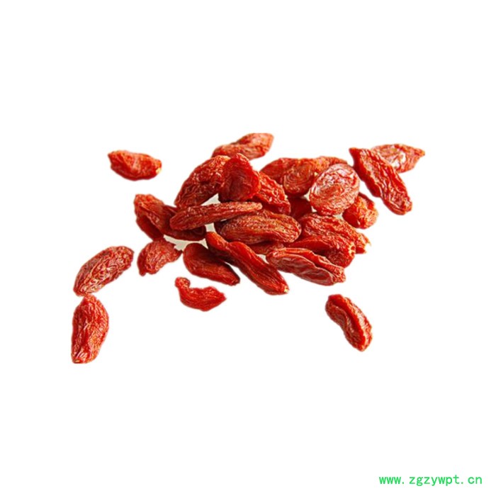 枸杞子粉 可定制 六盘韵 水溶图6