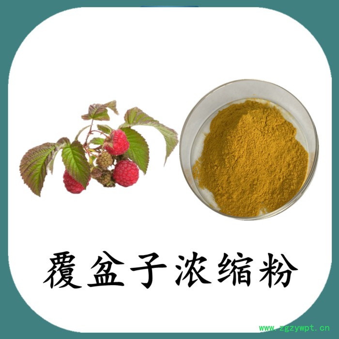 覆盆子粉  可定制 六盘韵 水溶图8