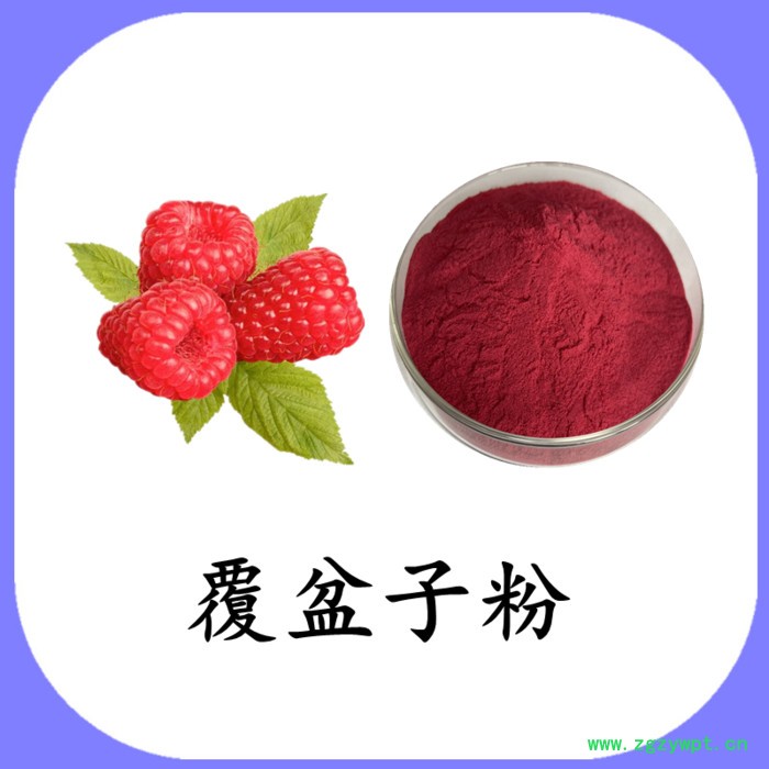 覆盆子粉  可定制 六盘韵 水溶图4