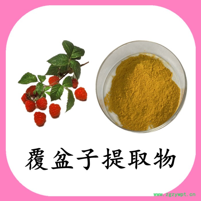 覆盆子粉  可定制 六盘韵 水溶图7