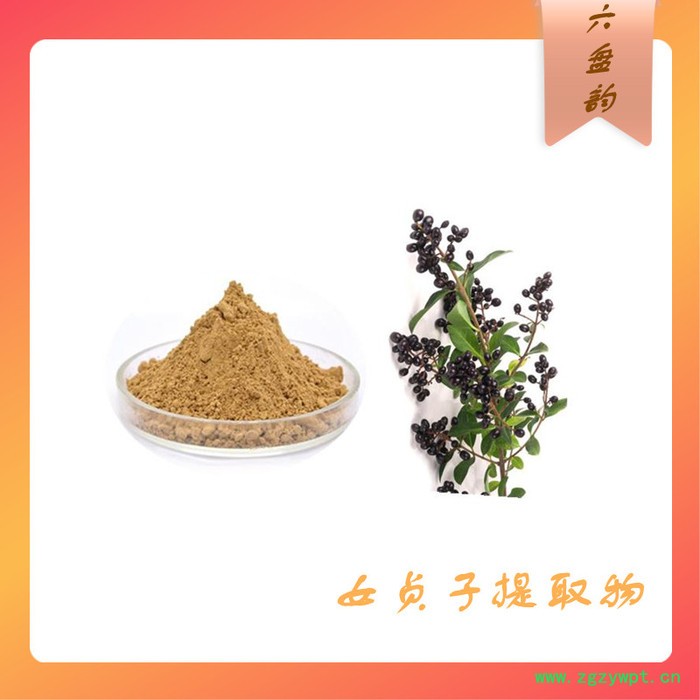 女贞子浓缩粉 食品级 水溶性好图3