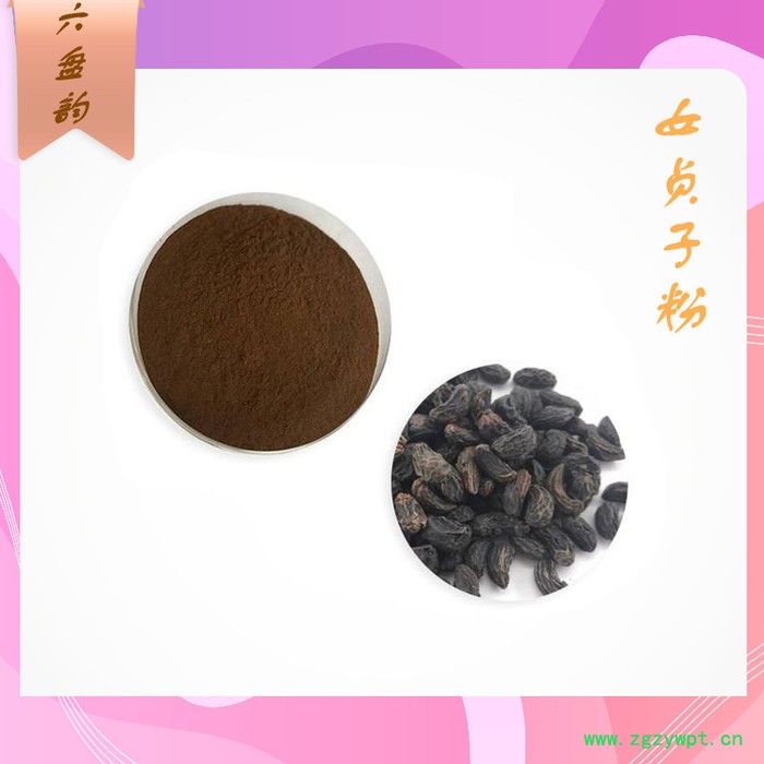 女贞子浓缩粉 食品级 水溶性好图2