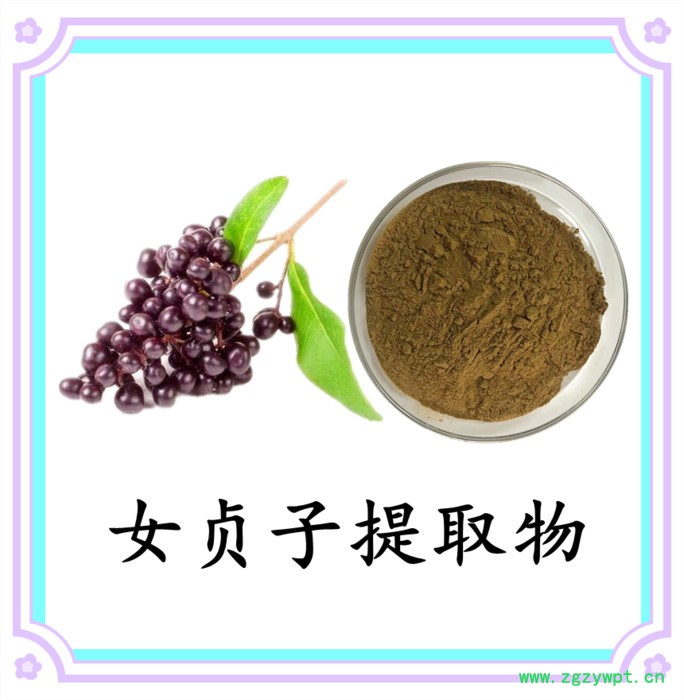 女贞子浓缩粉 水溶 六盘韵 可定制 全国包邮图7