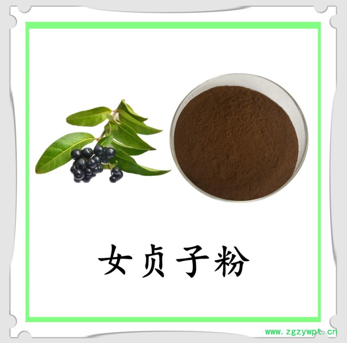 女贞子浓缩粉 水溶 六盘韵 可定制 全国包邮图6