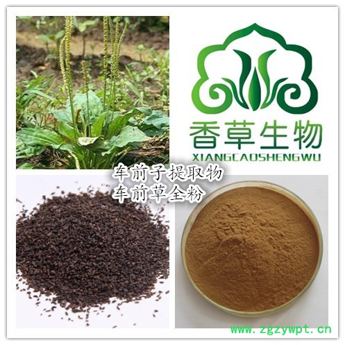 圆苞车前子壳粉98%遇水膨胀 洋车前子纤维粉 车前子壳提取物 车前子壳粉现货图5