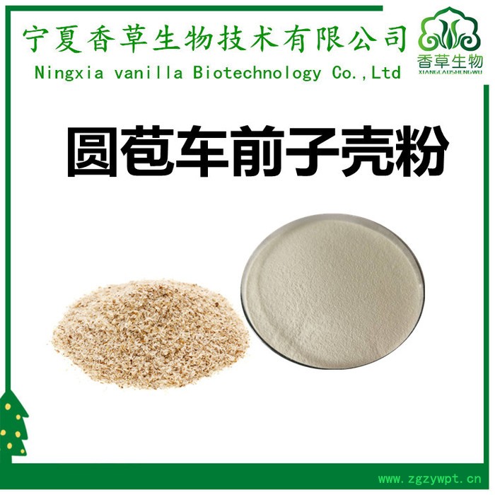 圆苞车前子壳粉98%遇水膨胀 洋车前子纤维粉 车前子壳提取物 车前子壳粉现货图7