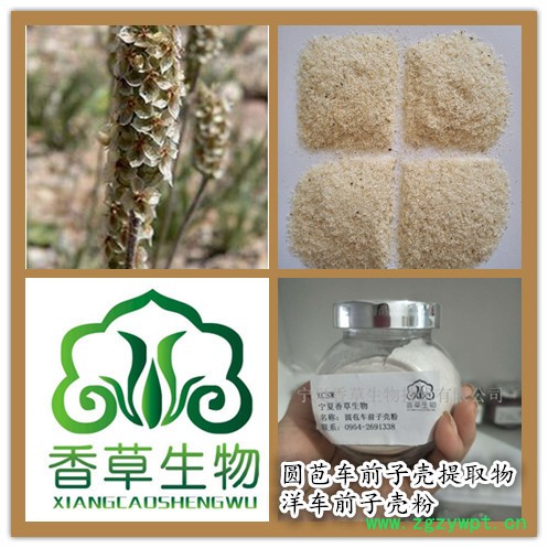 洋车前子壳纤维粉遇水膨胀  批发圆苞洋车前子壳粉 车前子壳提取物现货图2