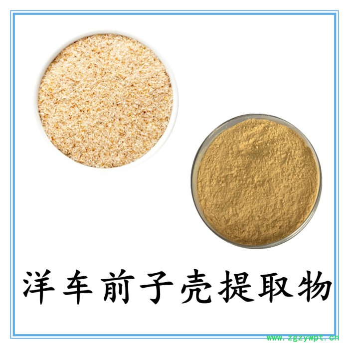 洋车前子壳浓缩粉 水溶 六盘韵 可定制 源头厂家图7