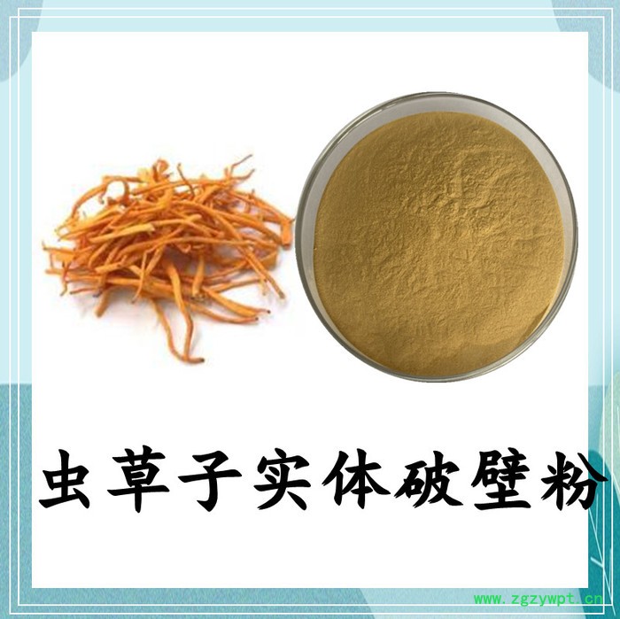 圆苞车前子壳破壁粉 斯诺特 可定制图3