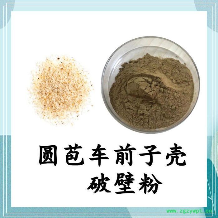 圆苞车前子壳破壁粉 斯诺特 可定制图4