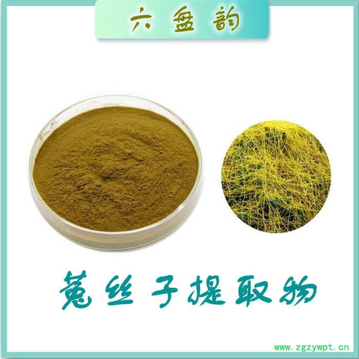 菟丝子提取物 水溶 可定制  菟丝子浓缩粉厂家图3