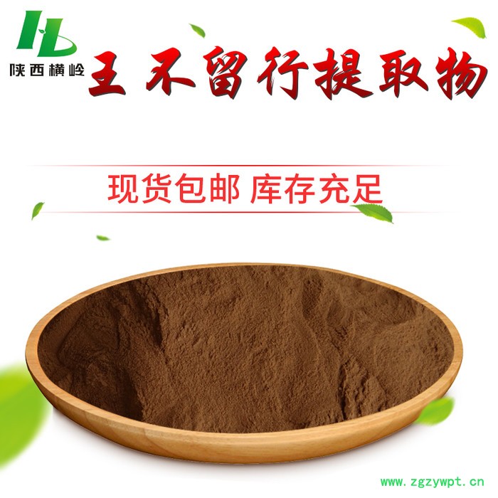 王不留行提取物 浓缩粉 植物提取物厂家 横岭供应图4