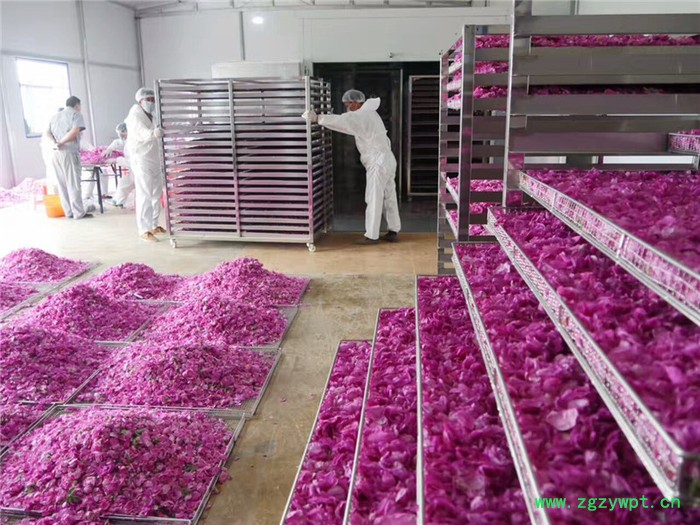 大琨花草茶烘干箱价格陈皮干燥房厂家价格图4