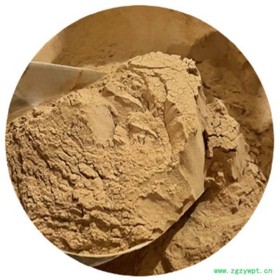 甘肃斯诺特 筋骨草粉    食品原料      筋骨草浸膏粉