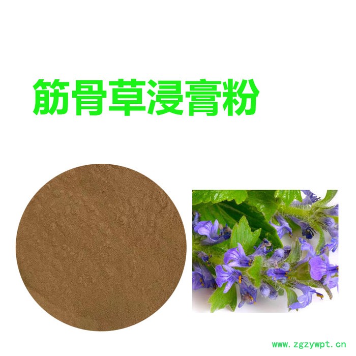 甘肃斯诺特 筋骨草粉    食品原料      筋骨草浸膏粉图6