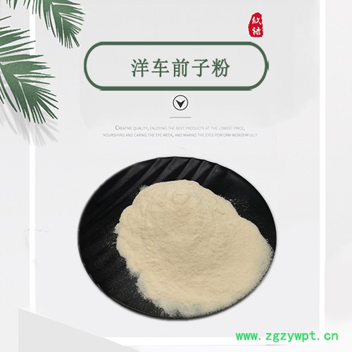 洋车前子壳粉 原料 圆苞车前子壳粉 厂家现货供应 量大优惠图4