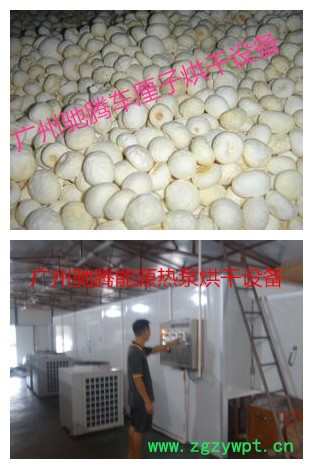 驰腾热泵CT-5P-1车前子箱式干燥设备图2