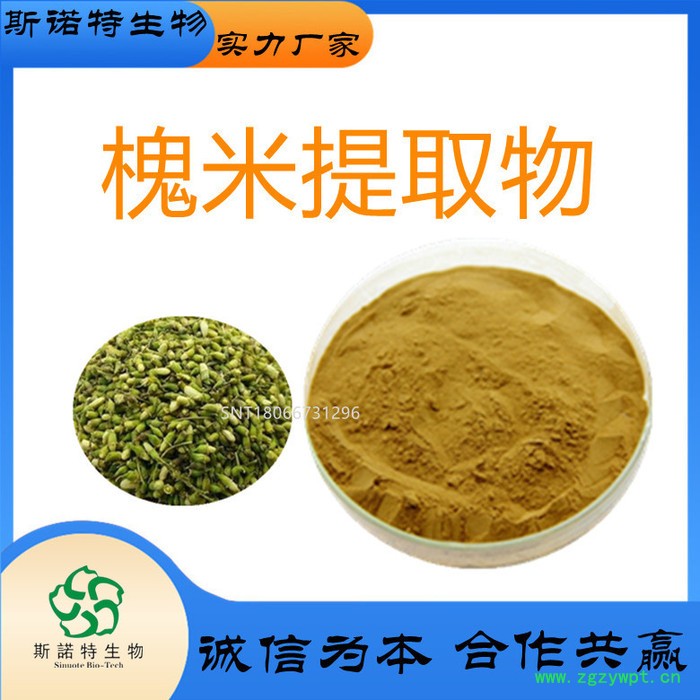 槐实提取物  槐角  槐实粉  槐实浸膏  斯诺特生物图7