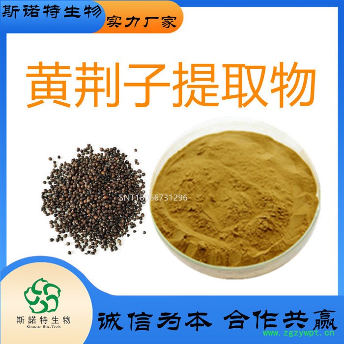 槐实提取物  槐角  槐实粉  槐实浸膏  斯诺特生物图3