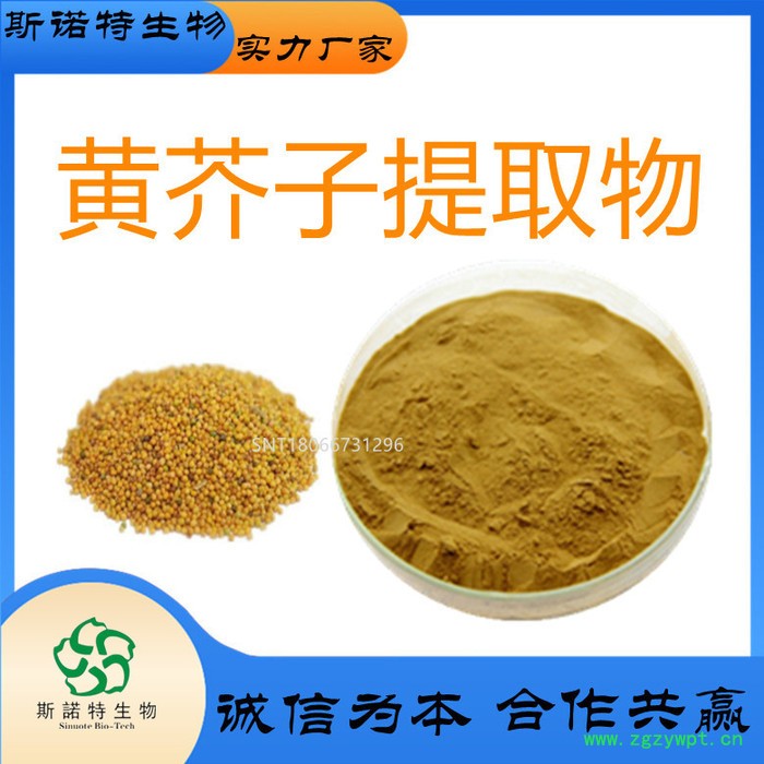 槐实提取物  槐角  槐实粉  槐实浸膏  斯诺特生物图2