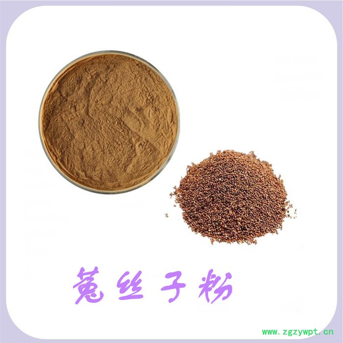 菟丝子粉 水溶 可定制 菟丝子提取物厂家 菟丝子多糖图3