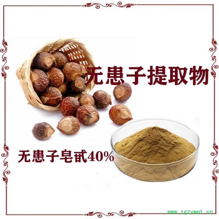 无患子提取物 10:1 无患子皂甙  无患子粉图4