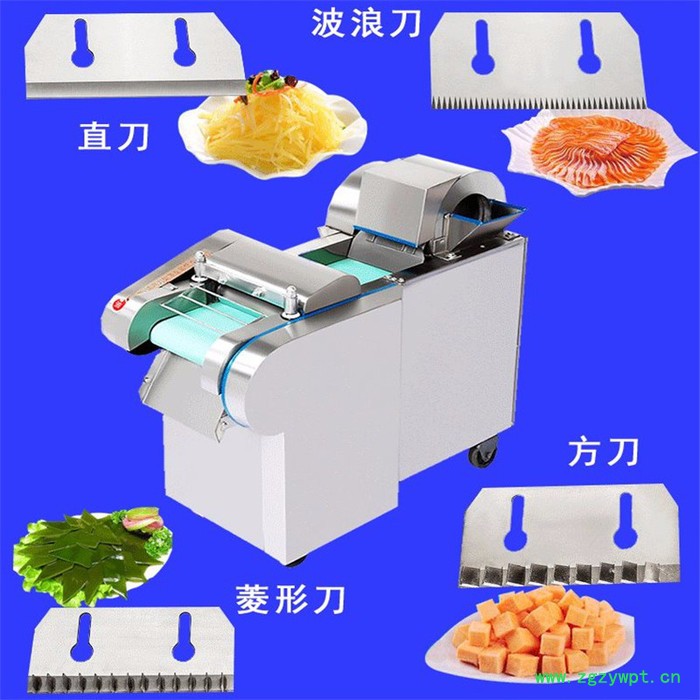 陈皮橘皮切丝机切条机 小型220v电压切丁机 陈皮木耳海带豆皮切丝机图2