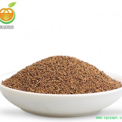 直销**内蒙水洗菟丝子 吐丝籽吐丝率高 散装一公斤起批