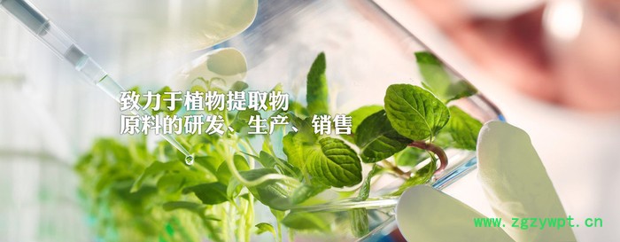 淫羊藿粉 可定制 水溶 六盘韵 品质保障图8