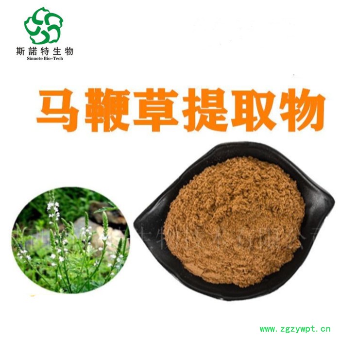 斯诺特生物 筋骨草提取物 筋骨草粉 可定制 20:1 10:1图2