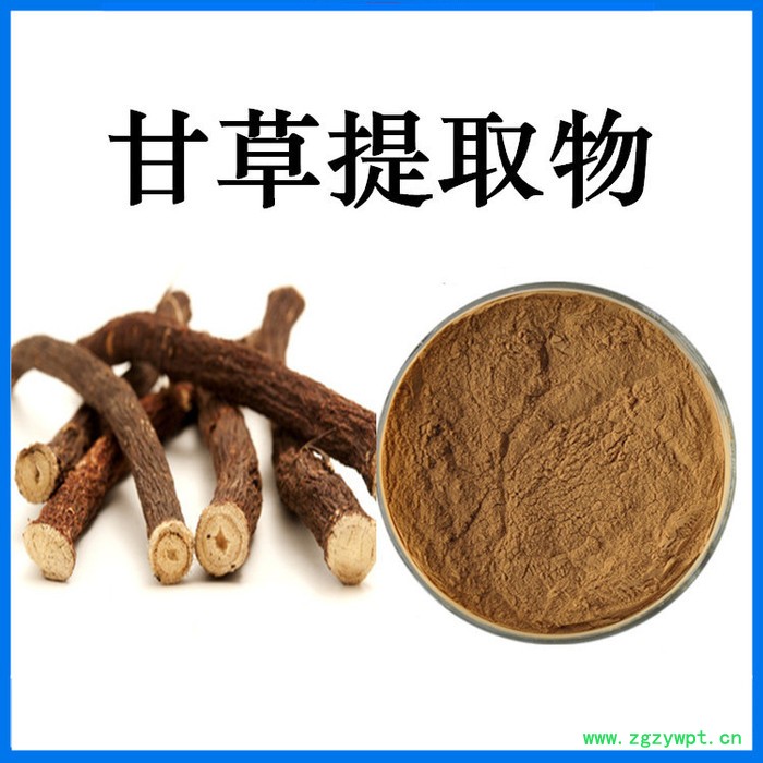 斯诺特生物 菟丝子提取物 菟丝子粉 原料厂家图5