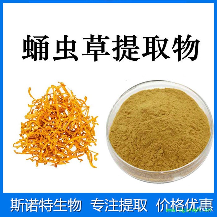 斯诺特生物 菟丝子提取物 菟丝子粉 原料厂家图2