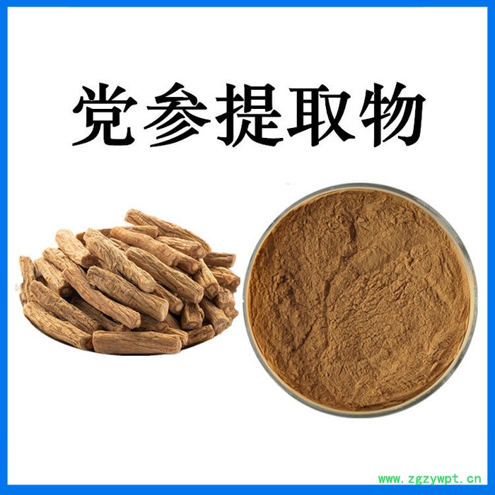 斯诺特生物 菟丝子提取物 菟丝子粉 原料厂家图8