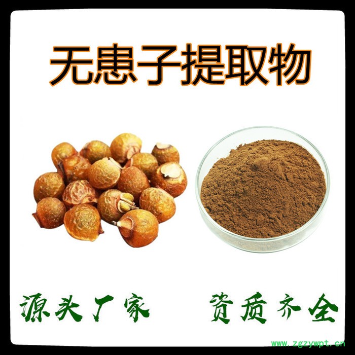 无患子皂甙80% 无患子提取物 全水溶泡沫大 厂家发货图2