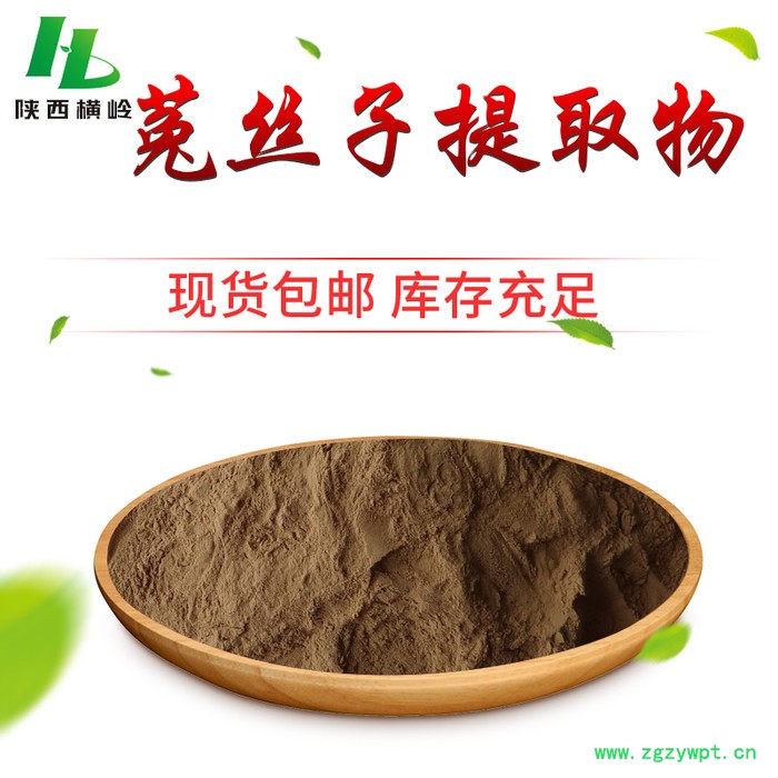 菟丝子提取物 菟丝子速溶粉 横岭 厂家供应图4