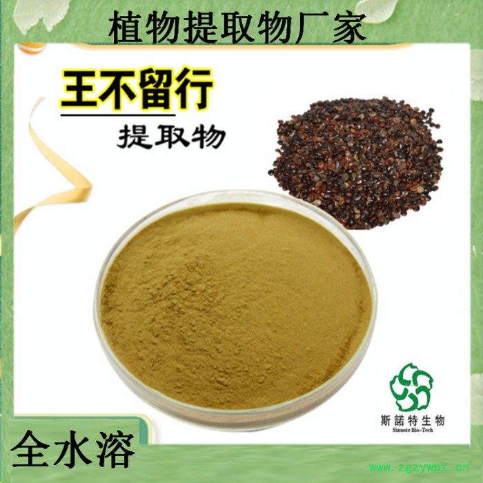 王不留行提取物       王不留行浓缩粉     订做比例图5