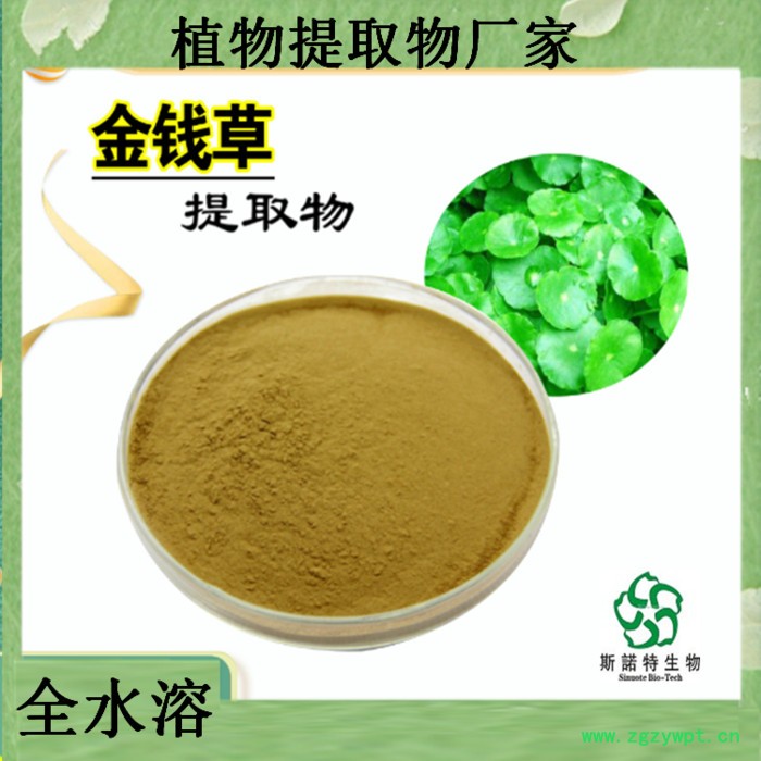 王不留行提取物       王不留行浓缩粉     订做比例图4