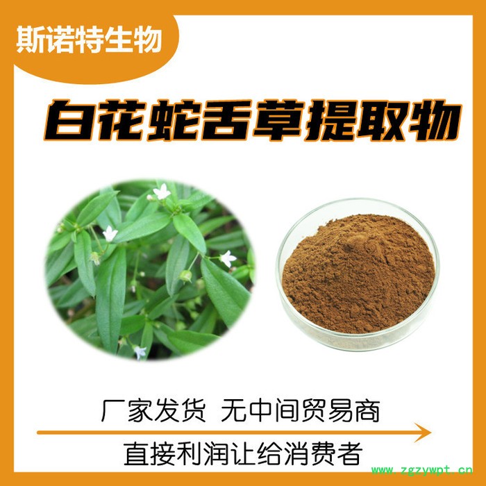 白花蛇舌草提取物 白花蛇舌草粉 厂家多种规格图5