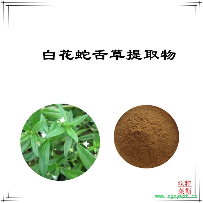沃特莱斯 白花蛇舌草粉 白花蛇舌草提取物10:1图2
