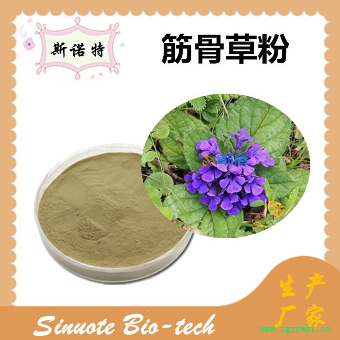 斯诺特 筋骨草提取物 筋骨草粉 厂家供应 包邮图5