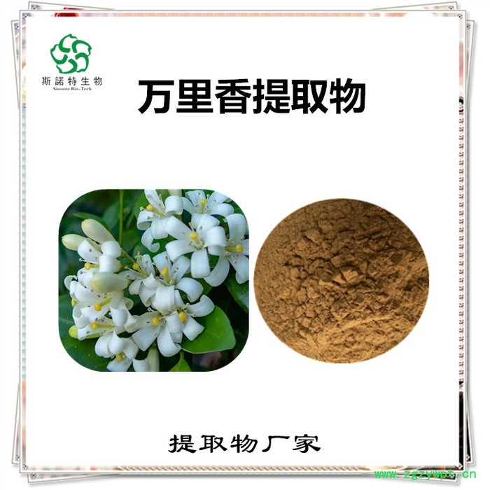 筋骨草速溶粉 筋骨草浓缩粉 生产厂家 斯诺特图7