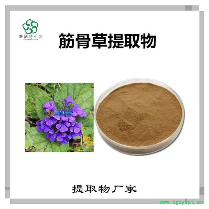 筋骨草速溶粉 筋骨草浓缩粉 生产厂家 斯诺特图6