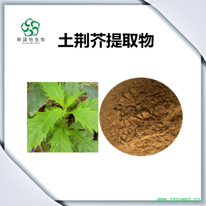 筋骨草速溶粉 筋骨草浓缩粉 生产厂家 斯诺特图2