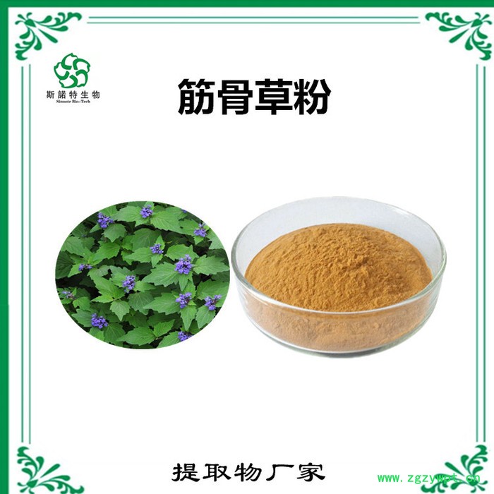 筋骨草速溶粉 筋骨草浓缩粉 生产厂家 斯诺特图5