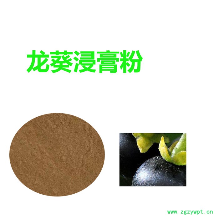 甘肃斯诺特 龙葵粉 量大从优 龙葵浸膏粉图4