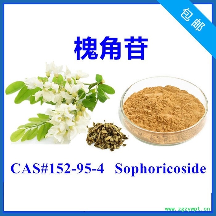 槐角苷10% 槐实苷 槐角提取物 萃取浓缩 厂家优惠 含税含运图6