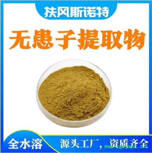 无患子皂甙40%    无患子提取物 无患子苷  洗护原料图2